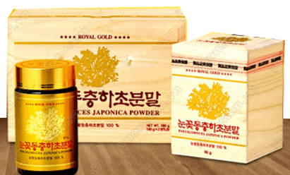 BỘT ĐÔNG TRÙNG HẠ THẢO 100%